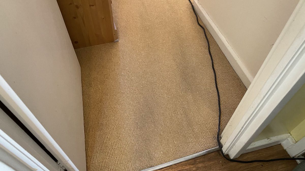 A carpet after professional cleaning by Jay's Cleaning